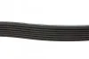 Ремінь генератора Toyota Camry 3.5 V6 11-17/ Lexus GS/ IS/ ES 2.5-3.5 05- Blue-print AD07R1550 (фото 2)
