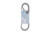Поликлиновый ремень 7PK990 Blue-print AD07R990 (фото 2)