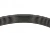 Ремінь генератора Mazda 3/ 5/ 6 2.0 DI/CD 02-10 (8PK1225) Blue-print AD08R1225 (фото 2)