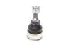 Опора кульова (передня/знизу) Honda Civic VII 00-05 Blue-print ADH28627 (фото 4)