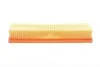 Фільтр повітряний Renault Kangoo/Dacia Logan 1.2 16V 01- Blue-print ADN12252 (фото 2)