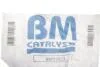 Фільтр сажевий VW T5 2.5TDI 03-09 (Євро 3-4) BM CATALYSTS BM11033 (фото 2)