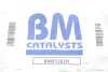 Катализатор BM CATALYSTS BM91263H (фото 2)