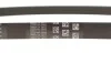 Пас поліклиновий 6РКХ1003 N20 BMW 11287618848 (фото 3)