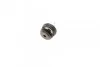 Клипса крепления дверцы G30/G31/G32/F90/G01 BMW 51417325082 (фото 4)