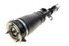 Подушка пневмопідвіски (спереду) BMW X5 (E53) 00-06 (R) BOGAP B3426101 (фото 1)