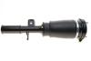 Подушка пневмопідвіски (спереду) BMW X5 (E53) 00-06 (R) BOGAP B3426101 (фото 3)