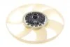 Муфта вентилятора Ford Transit 2.2/2.4TDCi 06- (+AC) = 20004766 BorgWarner AM-20004766-M (фото 5)