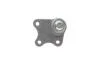 Опора кульова (передня/знизу/R) Skoda Fabia/VW Polo 1.2/1.9TDI 99-10 Borsehung B11337 (фото 3)
