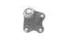 Опора кульова (передня/знизу/R) VW Polo/Skoda Fabia 1.0-2.0 99- Borsehung B11339 (фото 2)