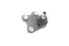 Опора кульова (передня/знизу/R) VW Polo/Skoda Fabia 1.0-2.0 99- Borsehung B11339 (фото 4)