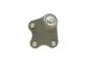 Опора кульова (передня/знизу/L) VW Polo/Skoda Fabia 1.0-2.0 99- Borsehung B11340 (фото 5)