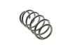 Пружина (передня) VW Caddy 04-/Passat 05-14 (OE VAG) Borsehung B12623 (фото 3)