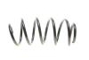 Пружина (передня) VW Caddy 04-/Passat 05-14 (OE VAG) Borsehung B12623 (фото 4)