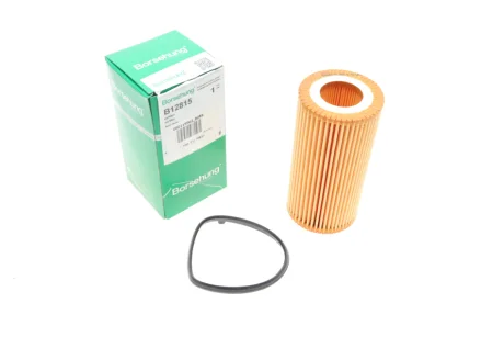 Фільтр масляний Audi A3/A4/A6/Q3/VW Golf V/VI/Passat 2.0 FSI 04-15 Borsehung B12815