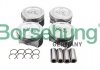 Поршень Audi A3/A4/VW Passat/Caddy 1.6 96-10 (к-кт 4шт.) Borsehung B16955 (фото 1)