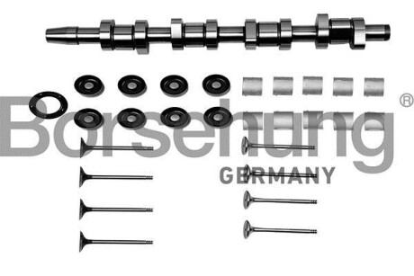 Ремкомлект распредвала, Borsehung B17129