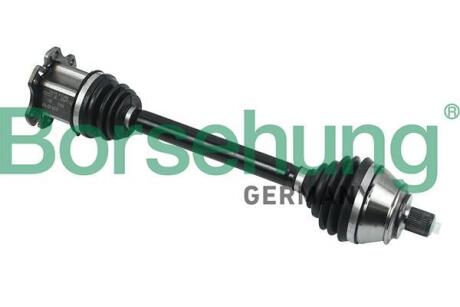 Вал Borsehung B18371
