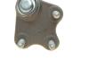 Опора кульова (передня/R) VW Polo/Skoda Fabia 1.0-2.0 99- Borsehung B18694 (фото 4)