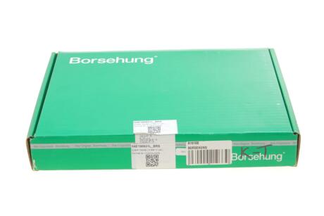 Клапана к-кт 6*6 (04E109601+04E109611L) (OE) Borsehung B19160