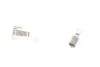 Лампа освещения двухконтактная P21/5 W 12V BOSCH 1 987 302 202 (фото 1)