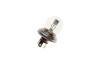 Автолампа R2 24V 55/50W P45t Trucklight BOSCH 1 987 302 421 (фото 10)