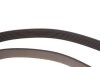 Комплект ременя генератора Renault Megane/Scenic 1.9 dCi/2.0 16V 03- (7PK1125) BOSCH 1 987 600 711 (фото 6)