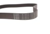 Комплект ременя генератора Renault Megane/Scenic 1.9 dCi/2.0 16V 03- (7PK1125) BOSCH 1 987 600 711 (фото 7)