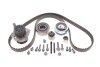 Комплект ГРМ + помпа Audi A3/A4/A5/A6/Q5/VW Caddy/Crafter/T5/T6 1.6TDI-2.0TDI 09- (25x160z) = 1 987 946 943 BOSCH 1 987 945 328 (фото 1)