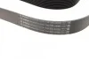 Ремінь генератора BMW 5 (F10/F11)/X3 (F25) 2.5/3.0i 09-13 (N52/N53) (8PK1786) BOSCH 1 987 945 705 (фото 2)