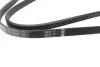 Ремінь генератора Ford Galaxy/Mondeo 2.0 EcoBoost 14- (4PK1366) BOSCH 1 987 945 718 (фото 2)