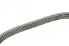 Ремінь генератора VW Golf V/Passat/Touran 1.4TSI 05-/Skoda Fabia 1.4 TSI RS 10-14 (5PK491) BOSCH 1 987 945 731 (фото 3)