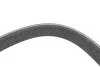 Ремінь генератора Citroen Berlingo/Peugeot Partner 1.6VTi 09- (6PK905) BOSCH 1 987 945 747 (фото 4)
