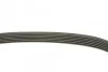 Ремінь генератора Audi A8 3.0i 03-06/Lexus GS/IS 3.0/3.5 00-11/Ford Fiesta 1.25-1.6 94-02 (6PK1930) BOSCH 1 987 946 005 (фото 3)