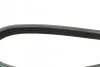 Ремінь генератора Renault Twingo 1.2 93-96 (4PK1165) BOSCH 1 987 946 008 (фото 9)