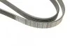 Ремінь генератора VW LT 2.8TDI (-AC) (6PK1635) BOSCH 1 987 946 019 (фото 10)