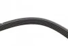 Ремінь генератора Mazda 626 2.0/Toyota Corolla 1.3/1.4 87-00 (5PK1054) BOSCH 1 987 946 069 (фото 9)