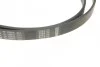 Ремінь генератора BMW 5 (E34)/7 (E32/E38)/8 (E31) M60 92-/Land Rover Discovery 2.5TDI 90-98(7PK1605) BOSCH 1 987 946 091 (фото 4)