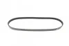 Ремень генератора BMW 3 (E46/E90)/5 (E60)/6 (E63)/X3 (E83)/X5 (E53) 03-11 (M57) (4PK860) BOSCH 1 987 946 111 (фото 4)