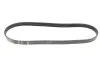 Ремінь генератора Ford Focus/Fiesta/Fusion/Mazda 2 1.25-1.6 98- (6PK1042) BOSCH 1 987 946 125 (фото 1)