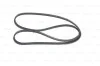 Ремень генератора BMW 3 (E46)/X3 (E83) 01-07/Fiat Stilo 1.6 16V 01-08 (4PK917) (M47) BOSCH 1 987 946 127 (фото 5)