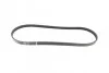 Ремень генератора BMW 3 (E46)/X3 (E83) 01-07/Fiat Stilo 1.6 16V 01-08 (4PK917) (M47) BOSCH 1 987 946 127 (фото 10)