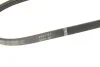 Ремінь генератора Renault Kangoo/Logan 1.4/1.6 04-/Lada Largus 1.6 12- (4PK916) BOSCH 1 987 946 129 (фото 4)