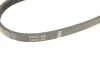 Ремінь генератора Fiat Ducato 2.3JTD 02-14 (4PK903) BOSCH 1 987 946 133 (фото 4)