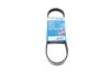 Ремінь генератора Ford C-Max/ Focus/ Volvo S40 1.8-2.0 06-12 (5PK705) BOSCH 1 987 946 134 (фото 1)