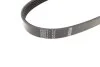 Ремінь генератора Ford C-Max/ Focus/ Volvo S40 1.8-2.0 06-12 (5PK705) BOSCH 1 987 946 134 (фото 2)