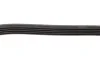 Ремінь генератора Ford C-Max/ Focus/ Volvo S40 1.8-2.0 06-12 (5PK705) BOSCH 1 987 946 134 (фото 4)