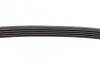 Ремінь генератора Ford Fiesta/Fusion 1.25/1.4/1.6 01-12 (5PK690) BOSCH 1 987 946 141 (фото 4)