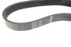 Ремінь генератора Ford Fiesta/Fusion 1.25-1.6Ti 01- (6PK1019) BOSCH 1 987 946 142 (фото 3)