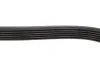 Ремінь генератора Ford Fiesta/Fusion 1.25-1.6Ti 01- (6PK1019) BOSCH 1 987 946 142 (фото 4)